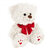 Valentine's Teddy Bear